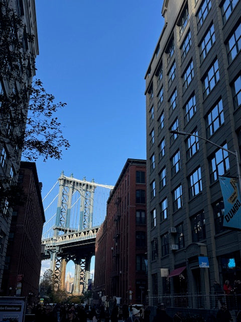 New York City Guide