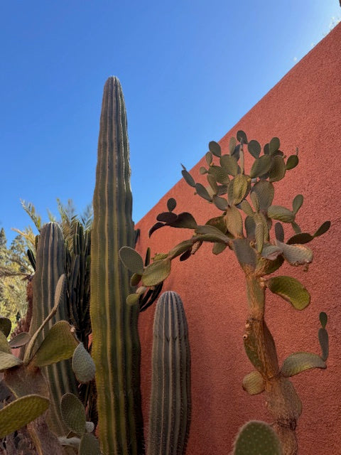 Marrakech City Guide